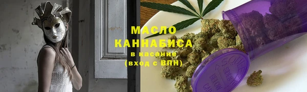 2c-b Горно-Алтайск