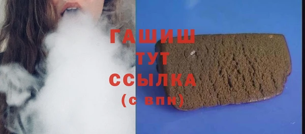 2c-b Горно-Алтайск