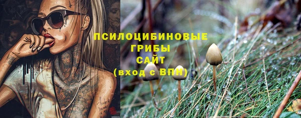 бутират Горняк