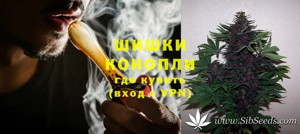 2c-b Горно-Алтайск