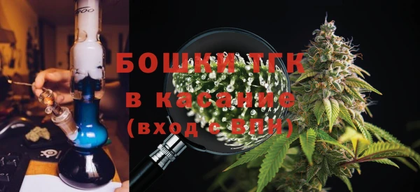 2c-b Горно-Алтайск
