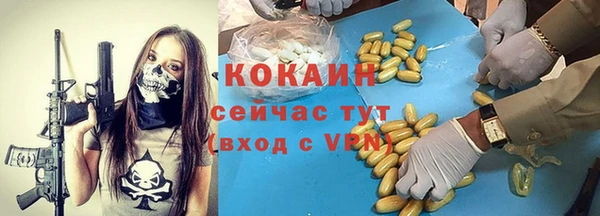 2c-b Горно-Алтайск