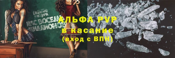 2c-b Горно-Алтайск