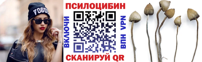 Галлюциногенные грибы мухоморы  Курчалой 